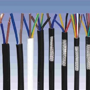 ������|����|���N��е�һ�N��ʲô�ǿ�����|��